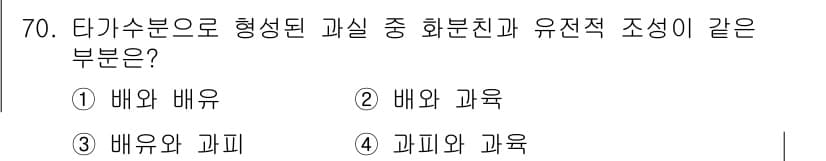 시설원예기사 2021년 70번 - 타가수분으로 형성된 과실은 서로 다른 품종 간의 교배 결과로 발생합니다.... 에 관한 핵심 기출문제