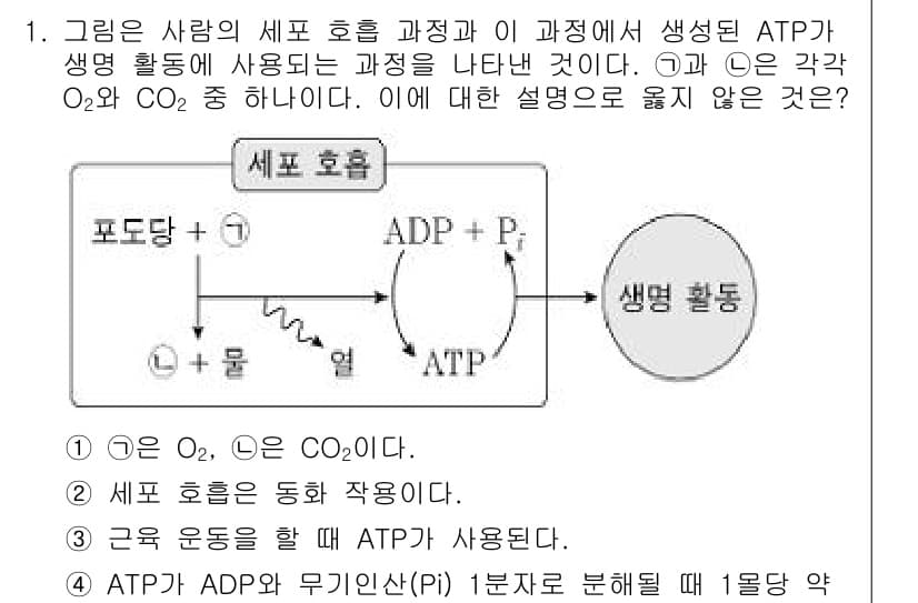 소방공무원(공개)_과학(구) 2020년 1번 - 정답과 핵심 포인트를 검수 중인 기출문제