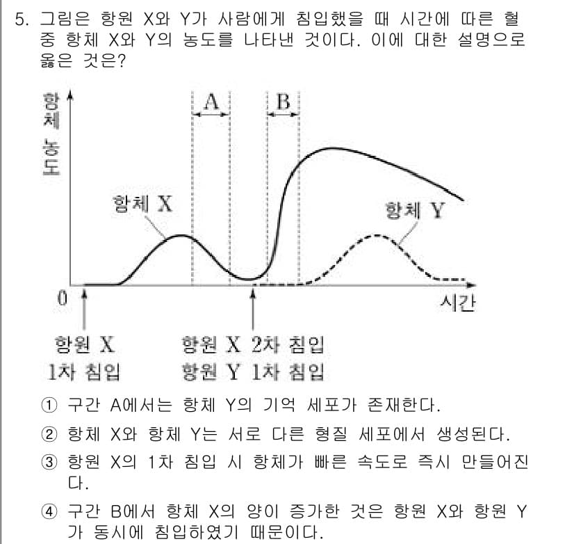소방공무원(공개)_과학(구) 2020년 6번 - 주어진 그래프에서 구간 A는 항체 Y의 농도가 증가하는 시점이며, 이는 ... 에 관한 핵심 기출문제