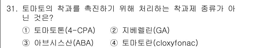 농산물품질관리사_1차 2015년 31번 - 답이 '3'인 이유는 아브시스산(ABA)이 토마토의 작과를 촉진하는 데 ... 에 관한 핵심 기출문제