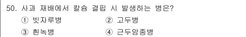 농산물품질관리사_1차 2015년 50번 - 고두병은 사과 열매가 아직 성장 중일 때 발생하는 병으로, 과일의 표면에... 에 관한 핵심 기출문제
