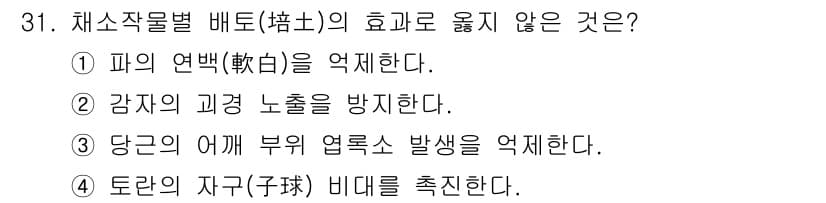 농산물품질관리사_1차 2016년 31번 - 정답인 '1'번, "파의 연백(軟白)을 억제한다"는 배토의 효과와 관련이... 에 관한 핵심 기출문제