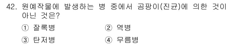 농산물품질관리사_1차 2016년 42번 - 문제에서 묻는 것은 곰팡이(진균)에 의해 발생하지 않는 병인데, '무름병... 에 관한 핵심 기출문제