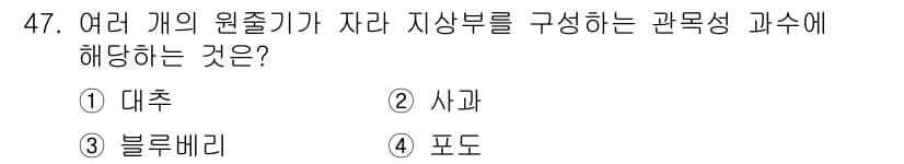 농산물품질관리사_1차 2018년 47번 - 정답 '3'인 블루베리는 여러 개의 원주로 이루어진 다수의 과실로 구성된... 에 관한 핵심 기출문제