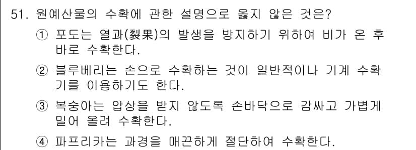 농산물품질관리사_1차 2018년 51번 - 정답이 '1'인 이유는 포도에서 열과의 발생을 방지하기 위한 수확 시점이... 에 관한 핵심 기출문제