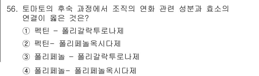 농산물품질관리사_1차 2018년 56번 - 정답인 '1'번은 팩틴과 폴리갈락투로나제 간의 관계를 반영합니다. 팩틴은... 에 관한 핵심 기출문제