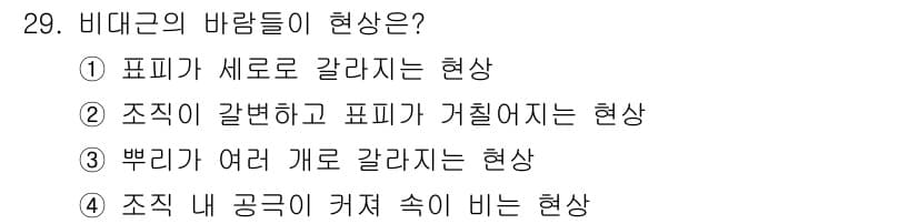농산물품질관리사_1차 2019년 29번 - 정답과 핵심 포인트를 검수 중인 기출문제