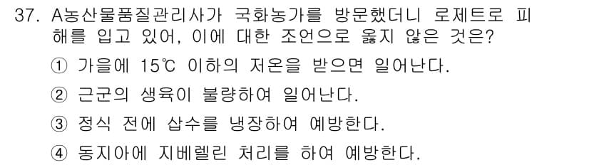 농산물품질관리사_1차 2020년 37번 - 정답은 '2'입니다. 근곤의 생육이 불량하다는 표현은 로제트 형태의 식물... 에 관한 핵심 기출문제
