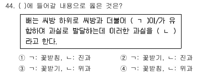 농산물품질관리사_1차 2021년 44번 - 주어진 문장에서 '배는 씨앗 하위로 씨앗과 더불어 ( )가 유합하여 과실... 에 관한 핵심 기출문제