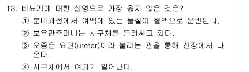 9급_지방직_공무원_서울시_생물 2021년 13번 - 정답과 핵심 포인트를 검수 중인 기출문제