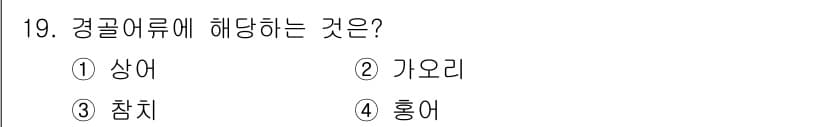9급_지방직_공무원_서울시_생물 2021년 19번 - 정답과 핵심 포인트를 검수 중인 기출문제