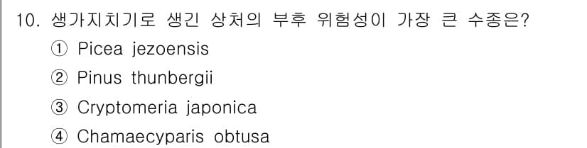 9급_지방직_공무원_조림 2021년 10번 - 정답 '1'인 Picea jezoensis는 생가치치기에서 상처에 대한 ... 에 관한 핵심 기출문제