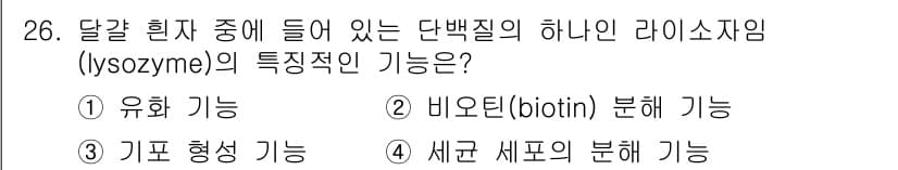 식품안전기사 2021년 26번 - 리소자임(lysozyme)은 주로 세균의 세포벽을 분해하여 항균 작용을 ... 에 관한 핵심 기출문제