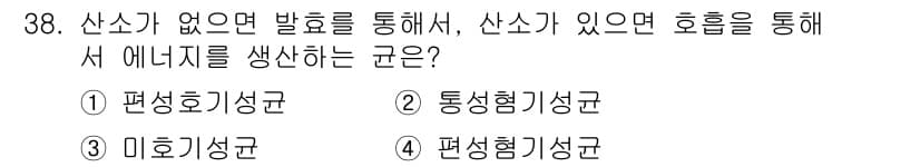 식품안전기사 2021년 38번 - 정답과 핵심 포인트를 검수 중인 기출문제