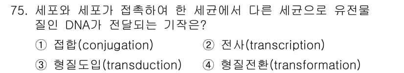 식품안전기사 2021년 76번 - 정답과 핵심 포인트를 검수 중인 기출문제