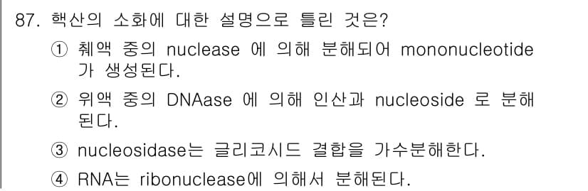 식품안전기사 2021년 88번 - 4번이 정답인 이유는, RNA는 ribonuclease에 의해 분해되며,... 에 관한 핵심 기출문제