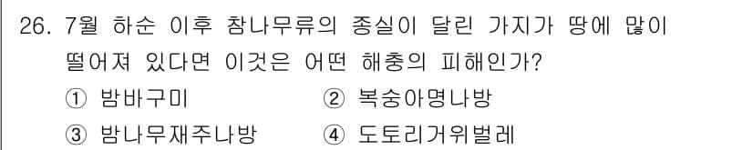 산림기사 2021년 26번 - 정답과 핵심 포인트를 검수 중인 기출문제