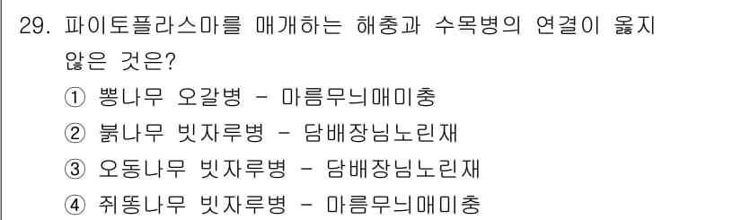 산림기사 2021년 29번 - 정답과 핵심 포인트를 검수 중인 기출문제