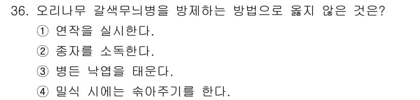 산림기사 2021년 36번 - 정답과 핵심 포인트를 검수 중인 기출문제