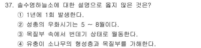 산림기사 2021년 37번 - 정답과 핵심 포인트를 검수 중인 기출문제