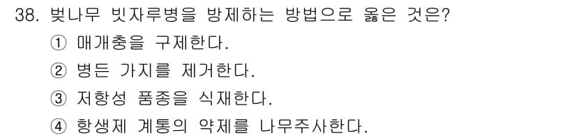 산림기사 2021년 38번 - 정답과 핵심 포인트를 검수 중인 기출문제