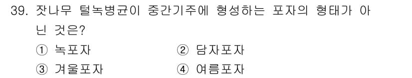 산림기사 2021년 39번 - 정답과 핵심 포인트를 검수 중인 기출문제