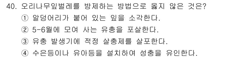 산림기사 2021년 40번 - 정답과 핵심 포인트를 검수 중인 기출문제