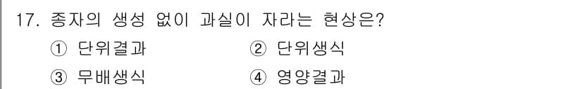 종자기사 2021년 17번 - 정답과 핵심 포인트를 검수 중인 기출문제