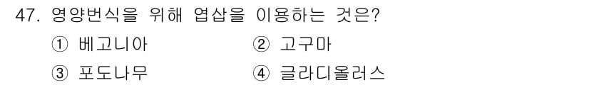종자기사 2021년 47번 - 정답과 핵심 포인트를 검수 중인 기출문제