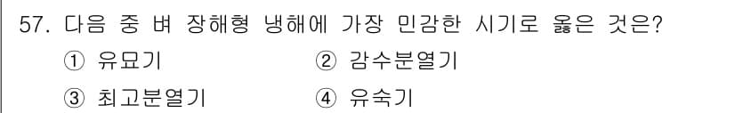종자기사 2021년 57번 - 정답과 핵심 포인트를 검수 중인 기출문제