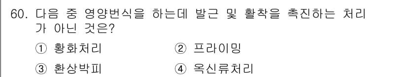 종자기사 2021년 60번 - 정답과 핵심 포인트를 검수 중인 기출문제
