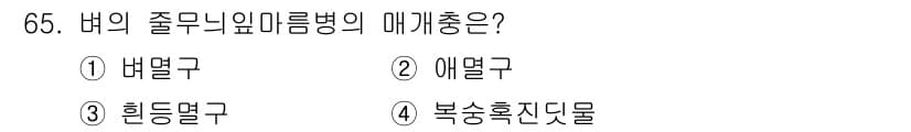 종자기사 2021년 65번 - 정답과 핵심 포인트를 검수 중인 기출문제