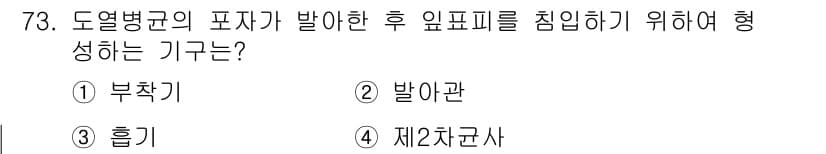 종자기사 2021년 73번 - 정답과 핵심 포인트를 검수 중인 기출문제