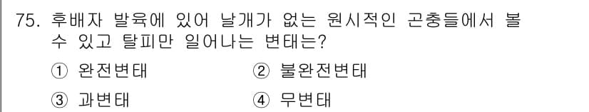 종자기사 2021년 75번 - 정답과 핵심 포인트를 검수 중인 기출문제