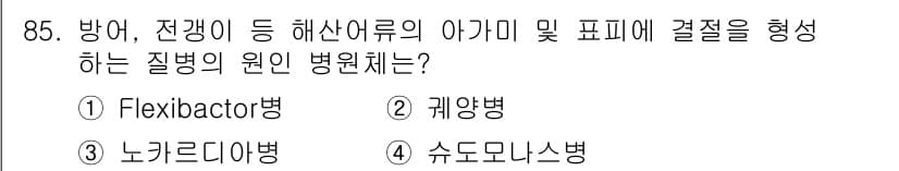수산양식기사 2021년 85번 - 정답과 핵심 포인트를 검수 중인 기출문제