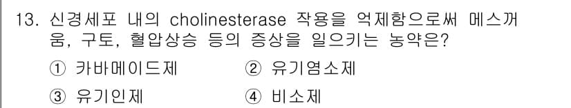 식육가공기사 2019년 13번 - 정답과 핵심 포인트를 검수 중인 기출문제