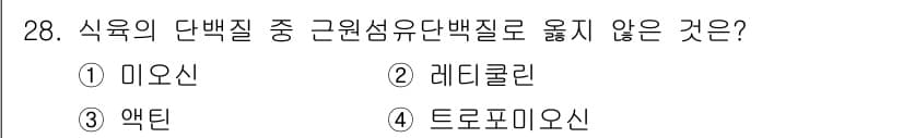 식육가공기사 2019년 28번 - 정답과 핵심 포인트를 검수 중인 기출문제