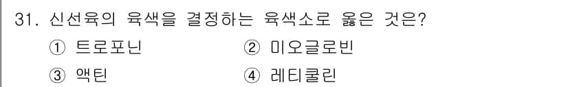 식육가공기사 2019년 31번 - 정답과 핵심 포인트를 검수 중인 기출문제
