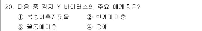 식물보호기사 2021년 20번 - . 정답인 이유는 Y 바이러스가 주로 감자에서 발생하며, 이 감자는 복숭... 에 관한 핵심 기출문제
