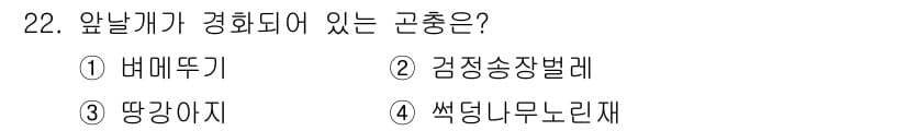 식물보호기사 2021년 22번 - . 검정송장벌레  
검정송장벌레는 과일 등의 부패물에 서식하며, 특히 온... 에 관한 핵심 기출문제