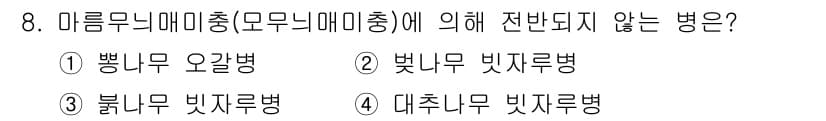 식물보호기사 2021년 8번 - . 

붉은무 빛자루병은 식물의 잎과 줄기에 영향을 미치며, 미름무늬미충... 에 관한 핵심 기출문제