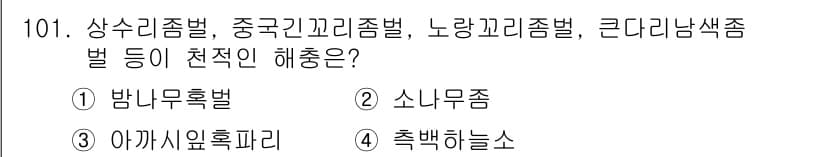 조경기사 2021년 102번 - 정답과 핵심 포인트를 검수 중인 기출문제