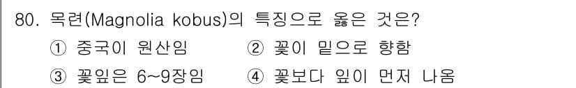 조경기사 2021년 81번 - 목련(Magnolia kobus)의 특징으로 옳은 것은 2번입니다. 이 ... 에 관한 핵심 기출문제