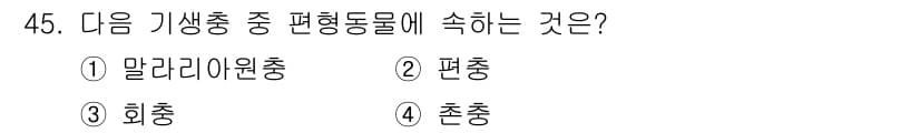 생물분류기사(동물) 2021년 45번 - 정답과 핵심 포인트를 검수 중인 기출문제
