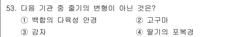 생물분류기사(동물) 2021년 53번 - 정답과 핵심 포인트를 검수 중인 기출문제