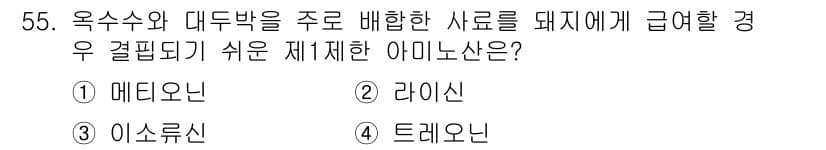 축산기사 2021년 55번 - 정답과 핵심 포인트를 검수 중인 기출문제