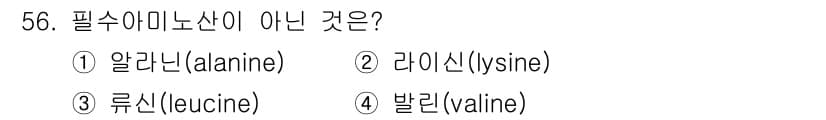 축산기사 2021년 56번 - 정답과 핵심 포인트를 검수 중인 기출문제
