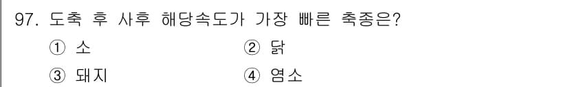 축산기사 2021년 97번 - 정답과 핵심 포인트를 검수 중인 기출문제