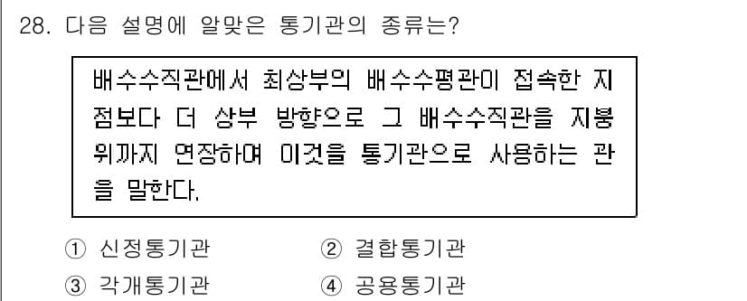 건축설비기사 2021년 28번 - 문제에서 언급된 통기관의 종류는 배수수직관에서 배수수평관이 접속하는 지점... 에 관한 핵심 기출문제