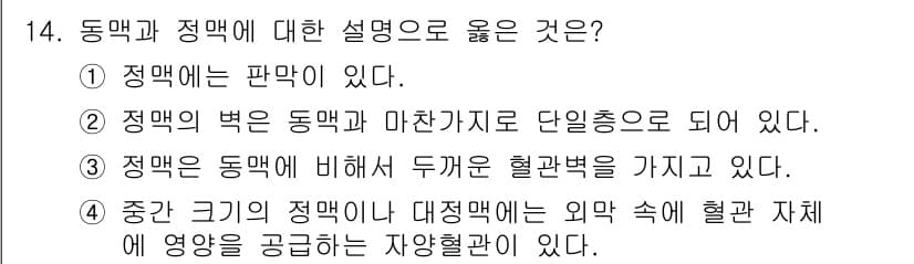 의공기사 2021년 14번 - 정답과 핵심 포인트를 검수 중인 기출문제